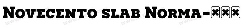 Novecento slab Norma字体转换